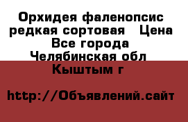 Орхидея фаленопсис редкая сортовая › Цена ­ 800 - Все города  »    . Челябинская обл.,Кыштым г.
